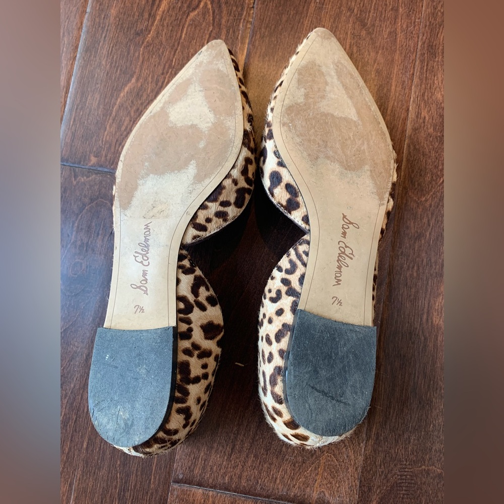Sam Edelman Leopard Print Pointed Toe Flats - Picture 6 of 6